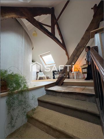 photo no. 13