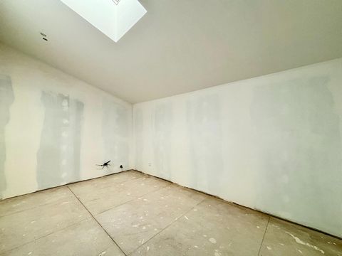 photo no. 12