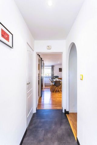 photo no. 11
