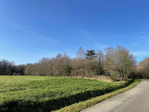 Grande parcelle de forêt à la sortie de Guer