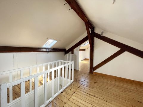 photo no. 11