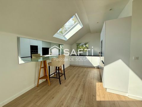 photo no. 6