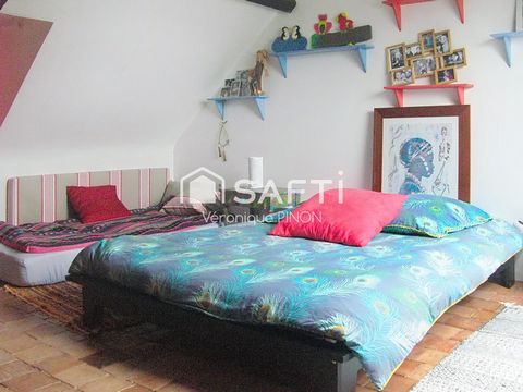 photo no. 8