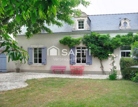 photo no. 11