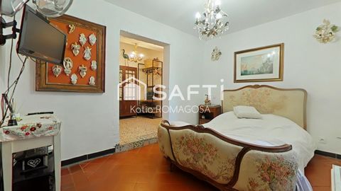 photo no. 6