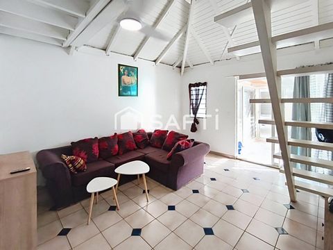 photo no. 4