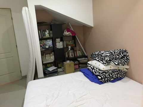 photo no. 12