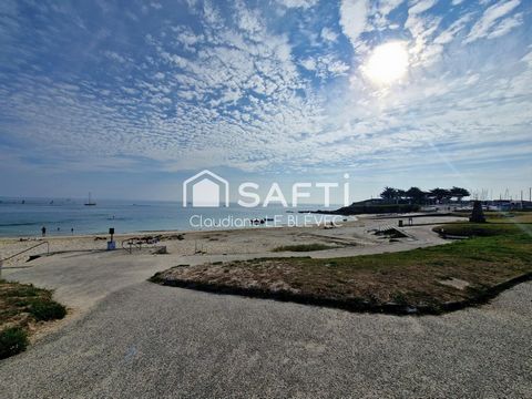 photo no. 6
