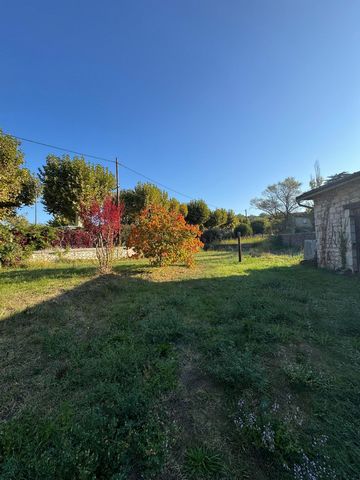 photo no. 14
