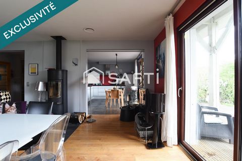 photo no. 13
