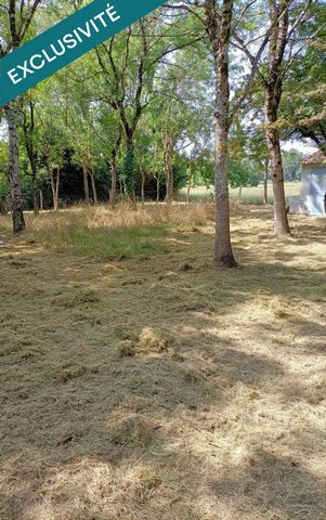 photo no. 18