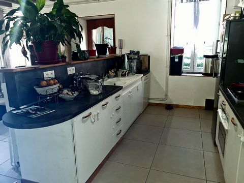 photo no. 7