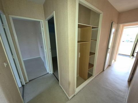 photo no. 7