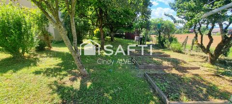 photo no. 10