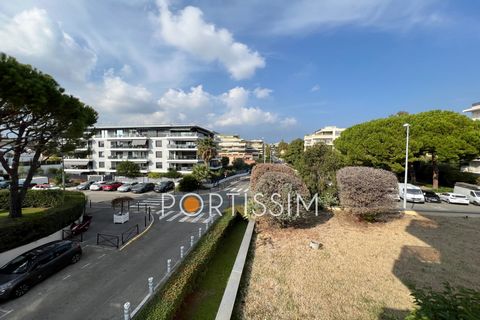 photo no. 10