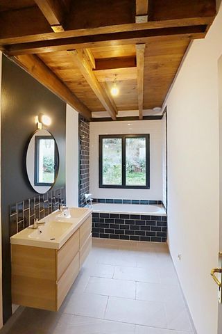 photo no. 13