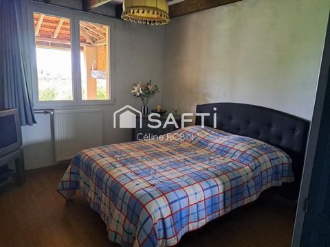 photo no. 13