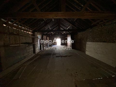 photo no. 6
