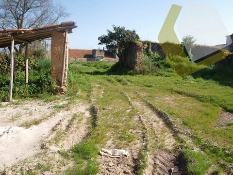 Located in Santa Maria (Óbidos). Plot for construction with 810 M2; Front with about 40 meters; Inserted in urban space of Level 2; Gross Construction Index Max 0.30; Five minutes from the Castle de Óbidos; Located on the Silver Coast, close to Foz d...