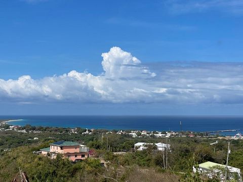 Gorgeous panoramic sea views to the West and South. Enjoy magnificent sunsets as your view overlooks the valley including Frederiksted town and spans sea views from North of the Frederiksted pier to South of Sandy Point. Large 1.7 acre lot slopes tow...