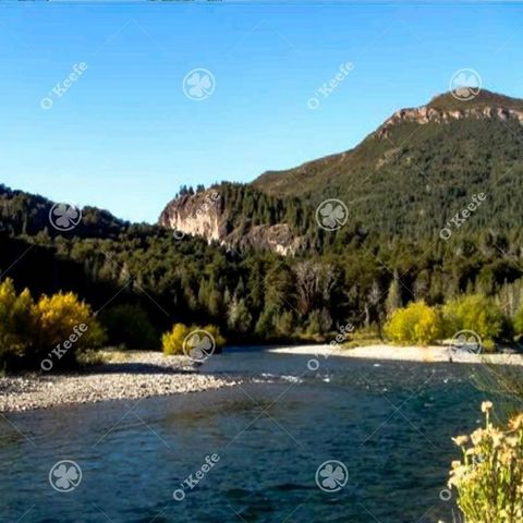 PRACHTIGE BOERDERIJ OM VAN TE GENIETEN AAN DE MANSO-RIVIER - IDEALE VISSERS EN TOERISME   Locatie en toegang: Manso Inferior. Gelegen in de vallei van de Manso Inferior River, 6,5 kilometer van de Nationale Route nr. 40, 80 kilometer van Bariloche.  ...