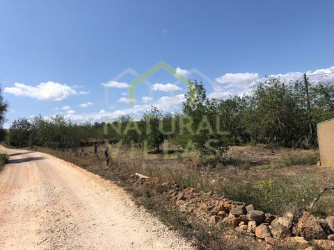 Rustic land in a quiet area of Tinhosas, municipality of Silves in the Algarve. This beautiful rustic property has a total land area of 4,680m2. Composed of several trees characteristic of the Algarve region, such as carob and olive trees. It holds f...