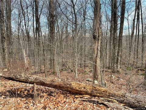 SWINGING BRIDGE LAKE NEIGHBORHOOD. Lake rights for water skiing, fishing, boating& more. Build your dream home on this beautiful wooded lot! 175' road footage with gentle sloping parcel towards back. Electric at street. Under 2 hours to NYC. Enjoy th...