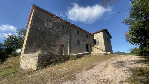 GUBBIO (PG), Santa Maria di Burano: farm of approximately 83 hectares in a single body, with farmhouses, annexes and shed, comprising - 43 hectares of hillside arable land, currently cultivated including PAC quotas; - 39 hectares of pasture/meadowlan...