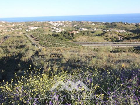 Super finca of 38,500 m 2 with 1,300 olive trees in production, breathtaking views to the sea and the mountains, also has 240,000 litres water tank. #ref:4442