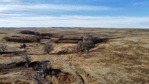 Wir stellen vor: Friends Willow Gulch Ranch, 644 Hektar Weideland mit Lage, toller Straßenanbindung, Bachboden, guter Beweidung und Schutz sowie Wasser! Die Ranch ist 644 Hektar westlich von Deer Trail und südlich von Byers, Colorado, groß. Das Anwes...