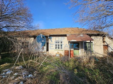 Top Estate Real Estate offers you a one-storey house with a garden and three-phase electricity in the village of Maslarevo. The house consists of four rooms and a bathroom, and a large outbuilding is attached to it. The yard has an area of 1000 sq.m....