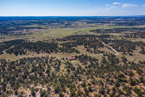 Tinaja Ranch provides a peaceful and beautiful rural escape featuring a 3BR 2BA home complete with city utilities and great year-round access in NM Game Management Unit 12. The +/- 290 acre property is subdivided, making it an excellent investment/de...