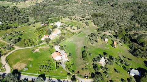 We present an extensive plot of 8.3 hectares in Melides, with a 3-bedroom villa for renovation or total transformation. Strategically located in a region close to Lisbon, just 60 minutes away, it is ideal for those who want to invest in a project for...