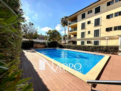 Nappo Real Estate offers for sale this spacious and functional flat just 100 meters from the beaches of Paguera, located on the second floor of an elegant building, with all the necessary services at your fingertips, souvenir shops, restaurants, bank...