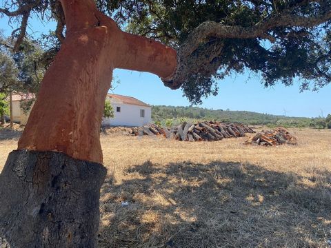 Casa de Campo com 20 Hectares em Pedralva, Vila do Bispo Esta propriedade inclui duas moradias geminadas: uma já remodelada com 99m² e outra com 78m², para ser transformada de acordo com o seu gosto pessoal. Além disso, tem armazéns com 700m² totais ...