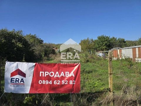 ERA Varna Trend bietet ein Grundstück in der Gegend von Alt-Lozya, Dorf Kalimantsi, Region Varna zum Verkauf an. Varna. Das Grundstück hat eine Fläche von 704 m², mit einer regelmäßigen rechteckigen Form, eingezäunt. Es gibt Strom an der Grenze des G...