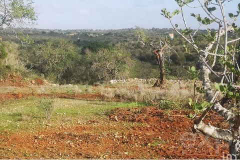 Land Selling with Sea views in FERREIRAS – ALBUFFERA - ALGARVE Come to know this fantastic Land! We present a unique investment opportunity in a rustic terrain of 6,430M2, located in the prestigious Area Reservoir area, in Fointhas with Mar , situate...