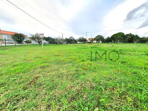 Urban Land, with 700 m2, gross construction capacity of a single-family house up to 300 m2, on 2 floors + basement (if desired), implantation 150 m2, gross dependent area 60 m2. Very quiet area, with excellent sun exposure. Located just 5 minutes fro...