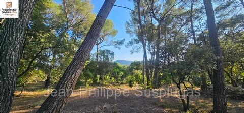 83330 Le Beausset - Au coeur d'une forêt méditerranéenne de près d'un hectare sur les hauteurs du village, cette propriété de charme située dans un environnement boisé très calme offre une habitabilité de plain pied et dispose de dépendances : garage...