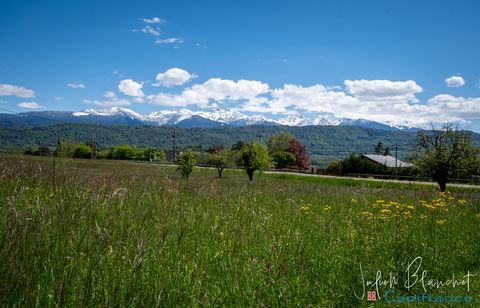 photo no. 2