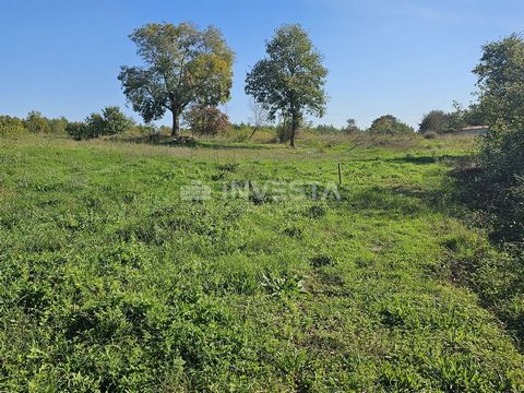 Vodnjan, omgeving - vijf bouwpercelen met bouwproject voor huizen Wij verkopen vijf bouwpercelen met een project voor de bouw van vijf huizen in de omgeving van Vodnjan. De totale oppervlakte van alle percelen bedraagt 1.881 m² + een toegangspad van ...