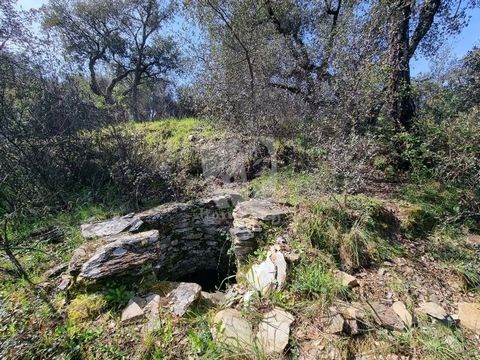 Rustiek terrein van 1700 m2 met pijnbomen, kurkeik en een waterput. Gelegen midden in de natuur en rustig gelegen, maar toch dicht bij het dorp. Ideaal voor het plaatsen van een tijdelijke constructie en een off-grid woonoplossing. Begrensd door een ...