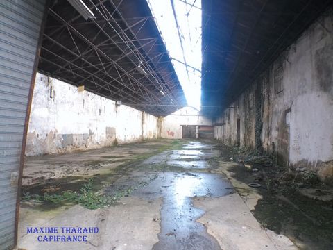 photo no. 2