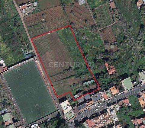 Entdecken Sie diese prachtvolle, rustikale Finca in Tacoronte, in der ruhigen Calle Camino La Ovejera, nur wenige Meter vom Fußballplatz Cantillo entfernt. Mit einer großzügigen Fläche von 10.572 m² bietet diese Immobilie eine ideale Umgebung für ver...