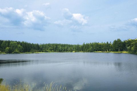 Gezellige huisjes aan zee! Breng uw vakantie door in de onmiskenbare natuur van de Harz, midden in de idylle van de Hausherzberger-vijvers. Bos en water zijn hier je directe buren. Aan de rand van Clausthal-Zellerfeld, aan een meer, biedt het vakanti...