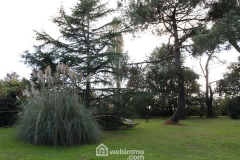 photo no. 17