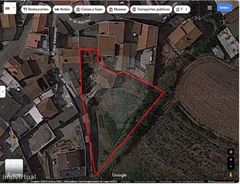 Moradia na Localidade da Areia Branca, Lourinhã, para reconstrução total, com excelente exposição solar. Possui uma Adega com area de 160m2, logradouro e terreno com 720m2 e arvores de fruto. Localização de excelência, onde consegue aproveitar o temp...