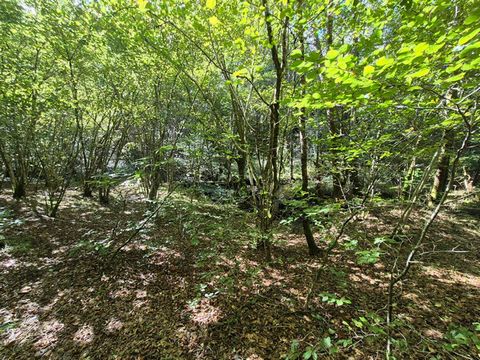 En exclusivité Cédric COVERGNAT vous propose sur la commune de CLERGOUX un grand terrain de plus de 10 000 m² arboré disposant d'une belle rivière et d'une ancienne cascade a réhabilité. Le terrain et divisé en deux parcelles de 7 550 m² et 5 300 m² ...