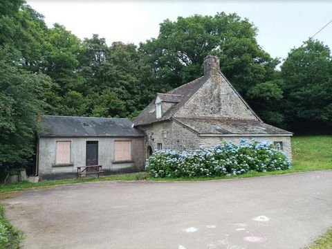 Moulin à restaurer avec sa partie mécanique d'époque. 2 chambres 1 salle d'eau 1 pièce de vie avec cheminée. Habitable en 