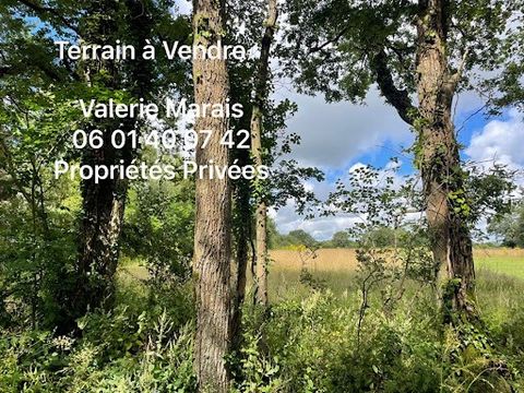 Valérie MARAIS, vous propose en Exclusivité à ST LYPHARD (44410). Ce grand terrain d'environ 4 714m2, dont 1 357m2 constructible viabilisé, borné, toit chaume obligatoire. Dans un secteur recherché, un écrin de verdure au calme, une belle opportunité...